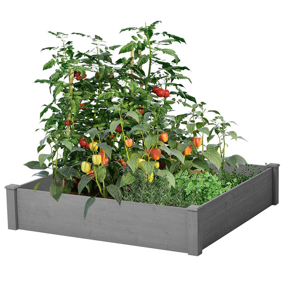 BTMWAY 48 in. L x 48 in. W x 10 in. H Cedar Wood Outdoor Square Raised Garden Bed Kit， Planter Box， Tool-Free Assembly CXXSQ-GI81262D469-Gardenbed01