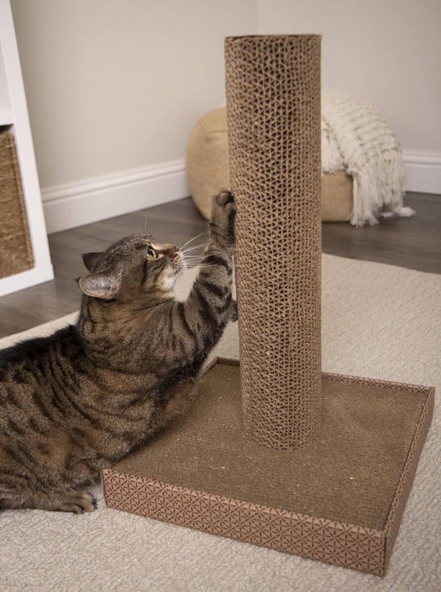 Petlinks Scratcher's Choice Pillar Tower Cat Scratcher Toy with Catnip