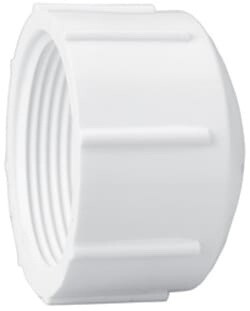 PVC Fittings 448025 Sch. 40 PVC Cap 2 1/2 in. FPT ...