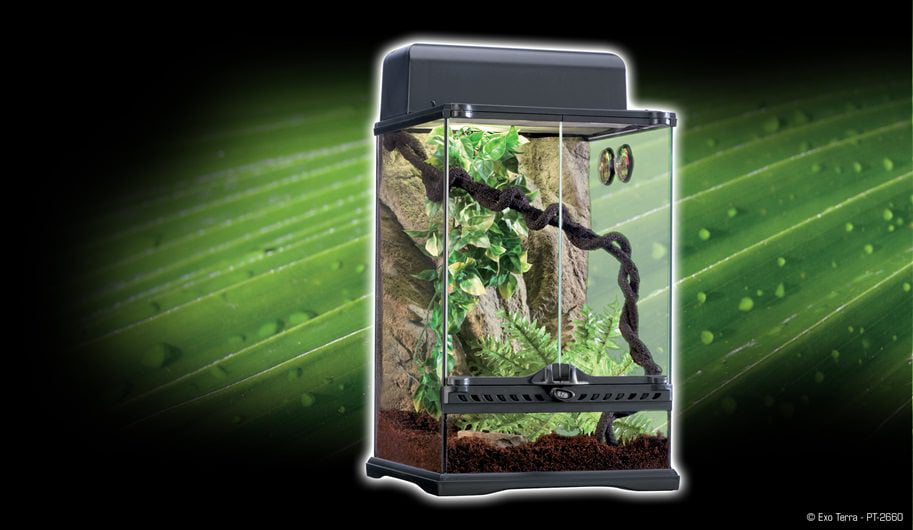 Exo Terra Rainforest Habitat Kit - Small