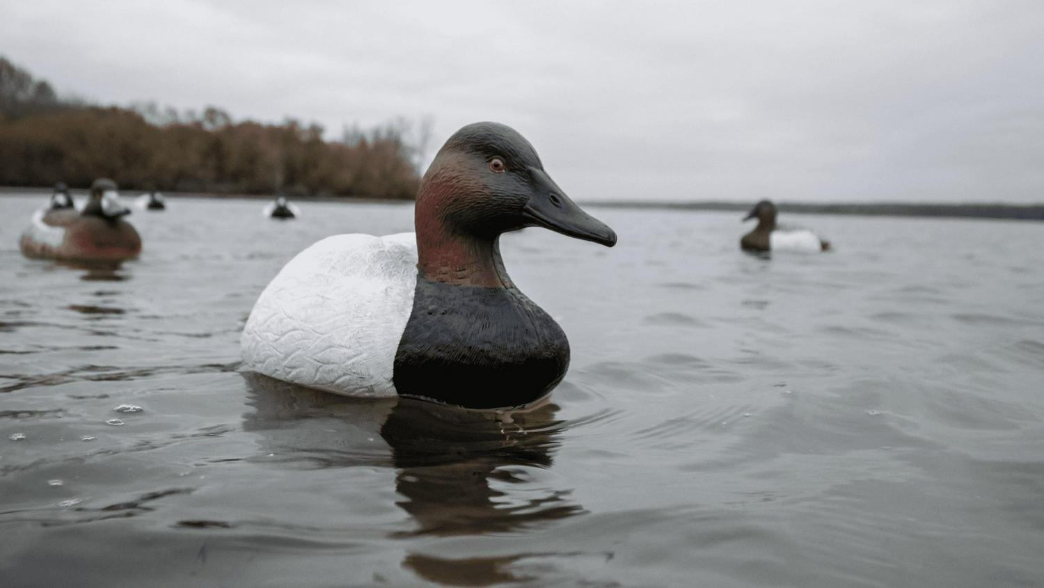 Flambeau Outdoors 1325GSD Gunning Series Foam-Filled Canvasback Decoys， Classic Floaters  6-Pack