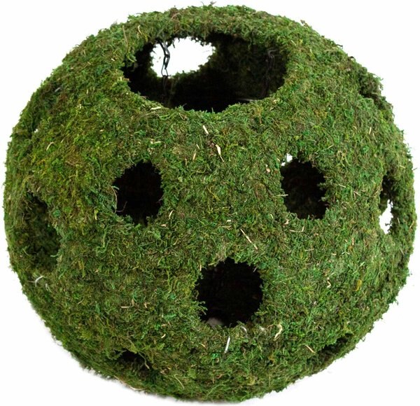 Galapagos Mossy Cave Reptile and Amphibian Terrarium Accessory， Fresh Green