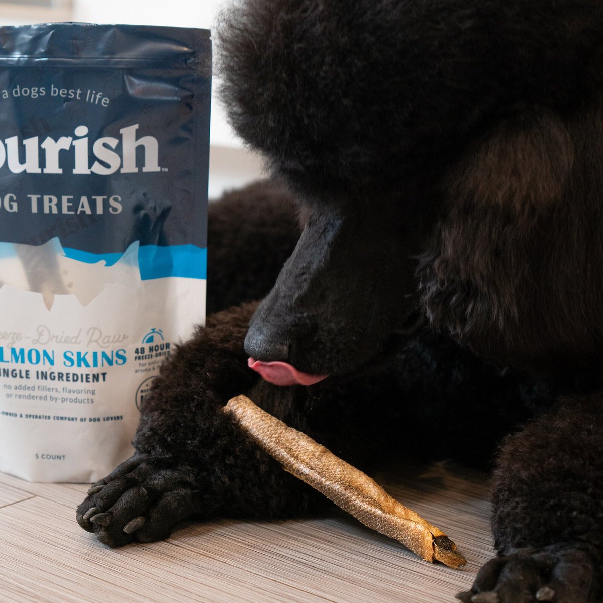 Flourish Salmon Skins Freeze-Dried Dog Treats