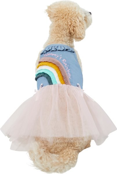 Frisco Rainbow Denim Dog and Cat Dress