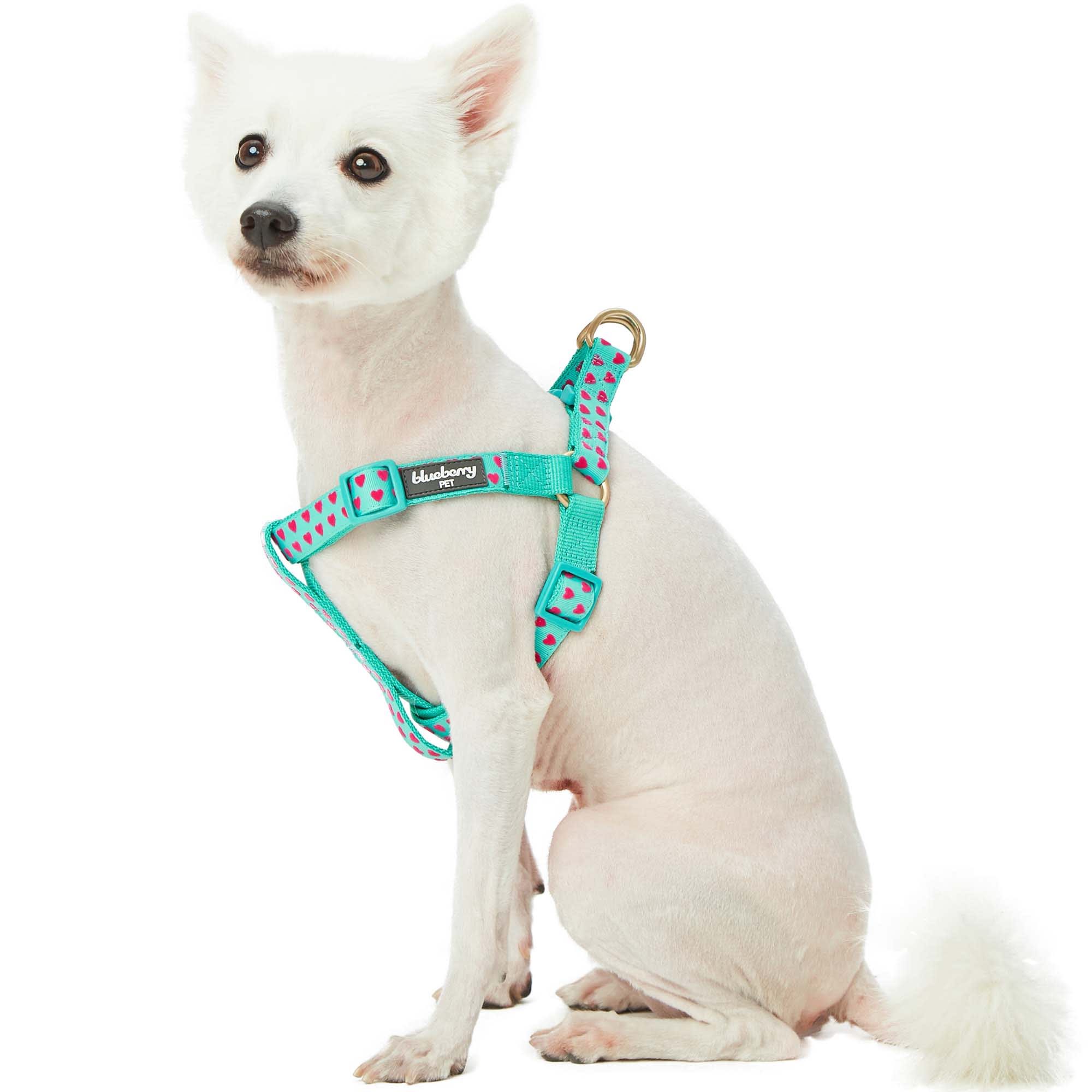 BLUEBERRY PET Minty Green Step-in Velvety Heart Flocking Dog Harness， Small