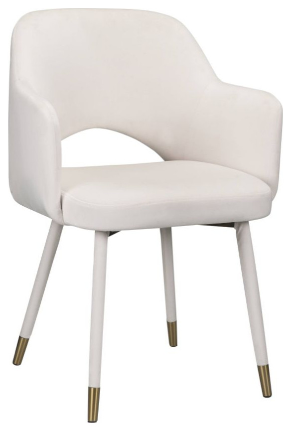 Acme Applewood Accent Chair Cream Velvet and Gold   Midcentury   Armchairs And Accent Chairs   by AMOC  Houzz