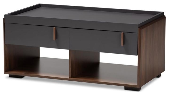 Baxton Studio Rikke 2 Drawer Wood Coffee Table in Gray and Walnut   Transitional   Coffee Tables   by Homesquare  Houzz