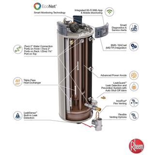 Rheem Commercial Triton Premium Heavy Duty High Eff. 100 Gal. 250K BTU ULN Natural Gas Power Direct Vent Tank Water Heater GHE100SS-250