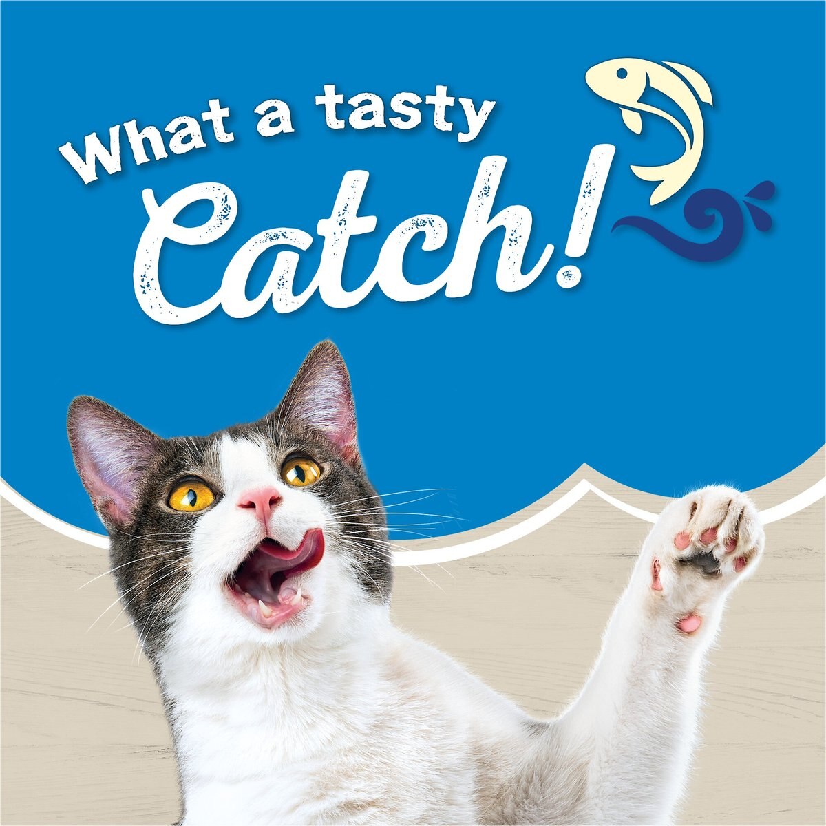 Friskies Ocean Favorites with Natural Salmon Dry Cat Food