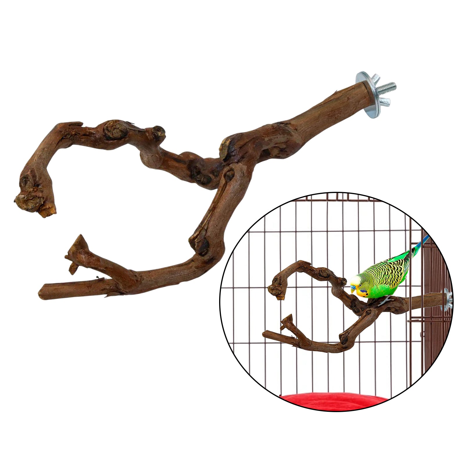 Natural Parrot Bird Stand Tree Branch Pet Budgie Toys Pet Supplies Perches Cage Two Branches