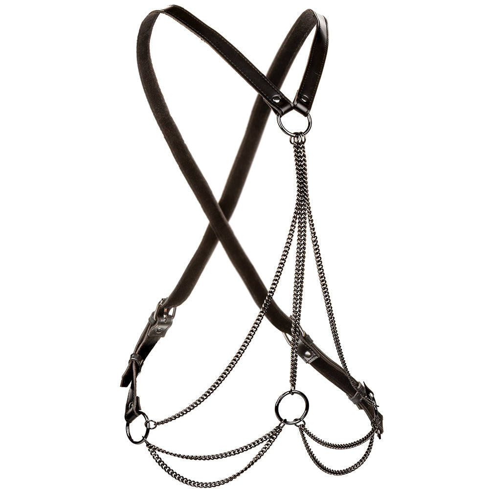 Euphoria Multi Chain Harness