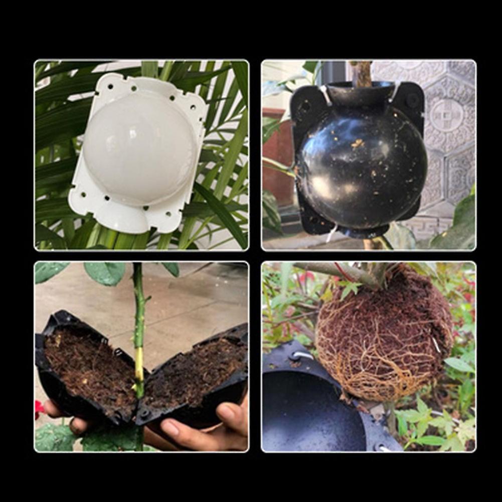 Plant Rooting Device Plastic High Pressure Grafting Ball Boxes Growing Breeding Gardening Supplies 5pcs White + 5pcs Black