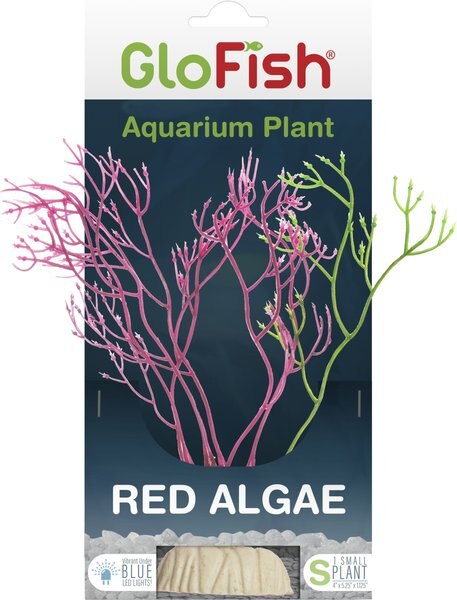 GloFish Red Algae Aquarium Plant