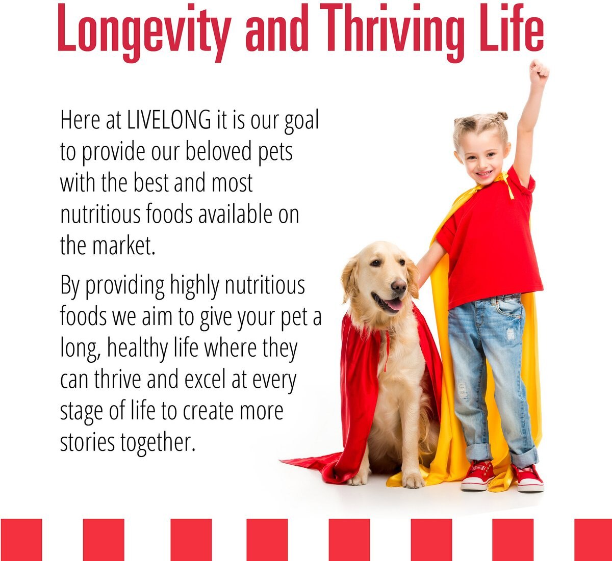 Livelong Healthy and Strong Lamb， Beef and Sweet Potato Recipe Wet Dog Food， 12.5-oz can， case of 12