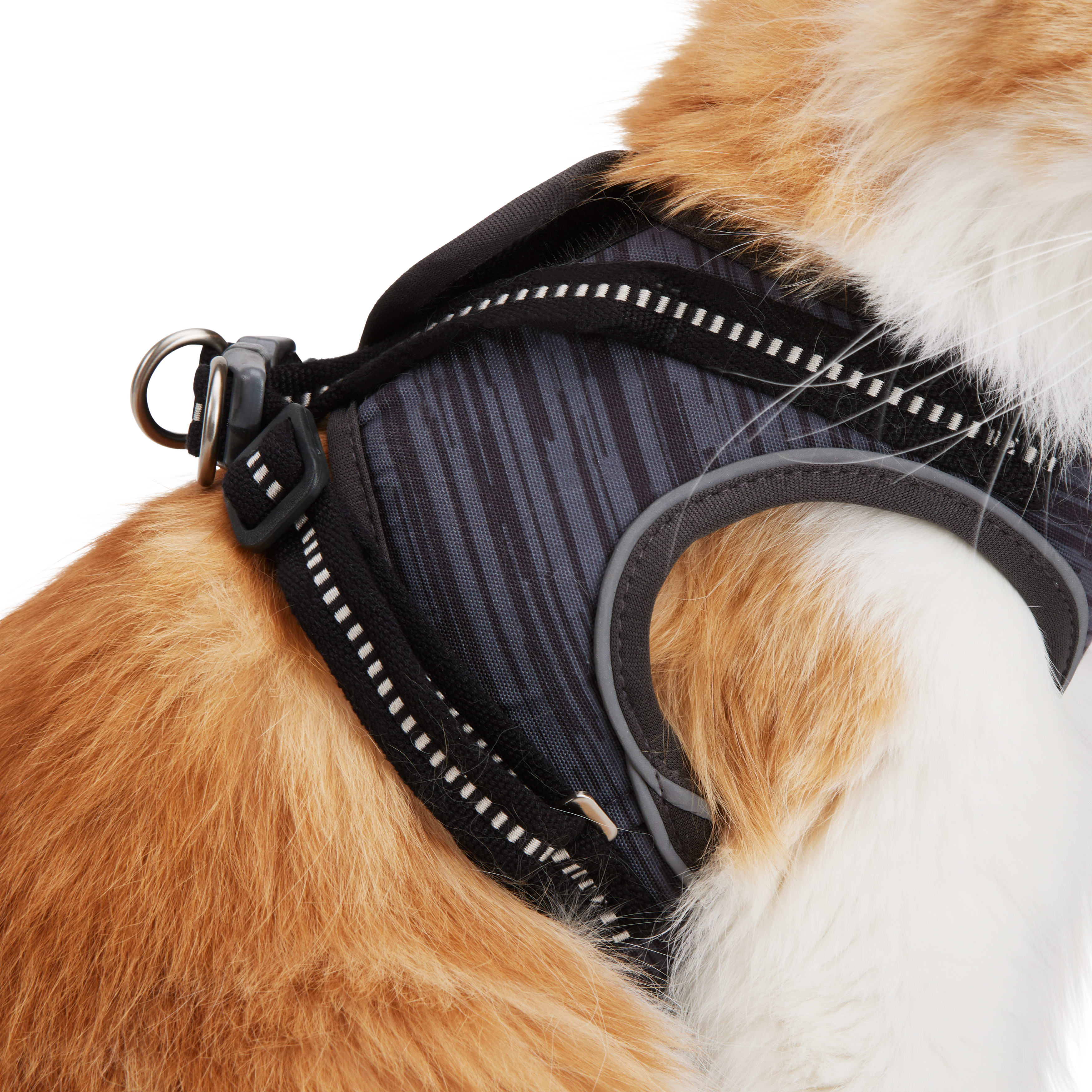 Reddy Grey Cat Harness Set， Small/Medium