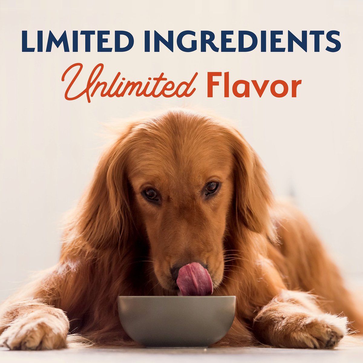 Natural Balance Limited Ingredient Grain-Free Salmon and Sweet Potato Recipe Dry Dog Food