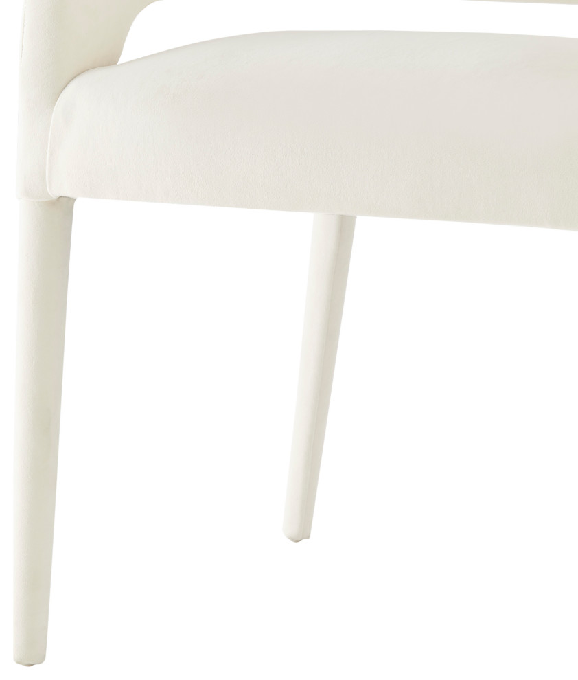 Lauryn Velvet Dining Side Chair   Modern   Dining Chairs   by New Pacific Direct Inc.  Houzz