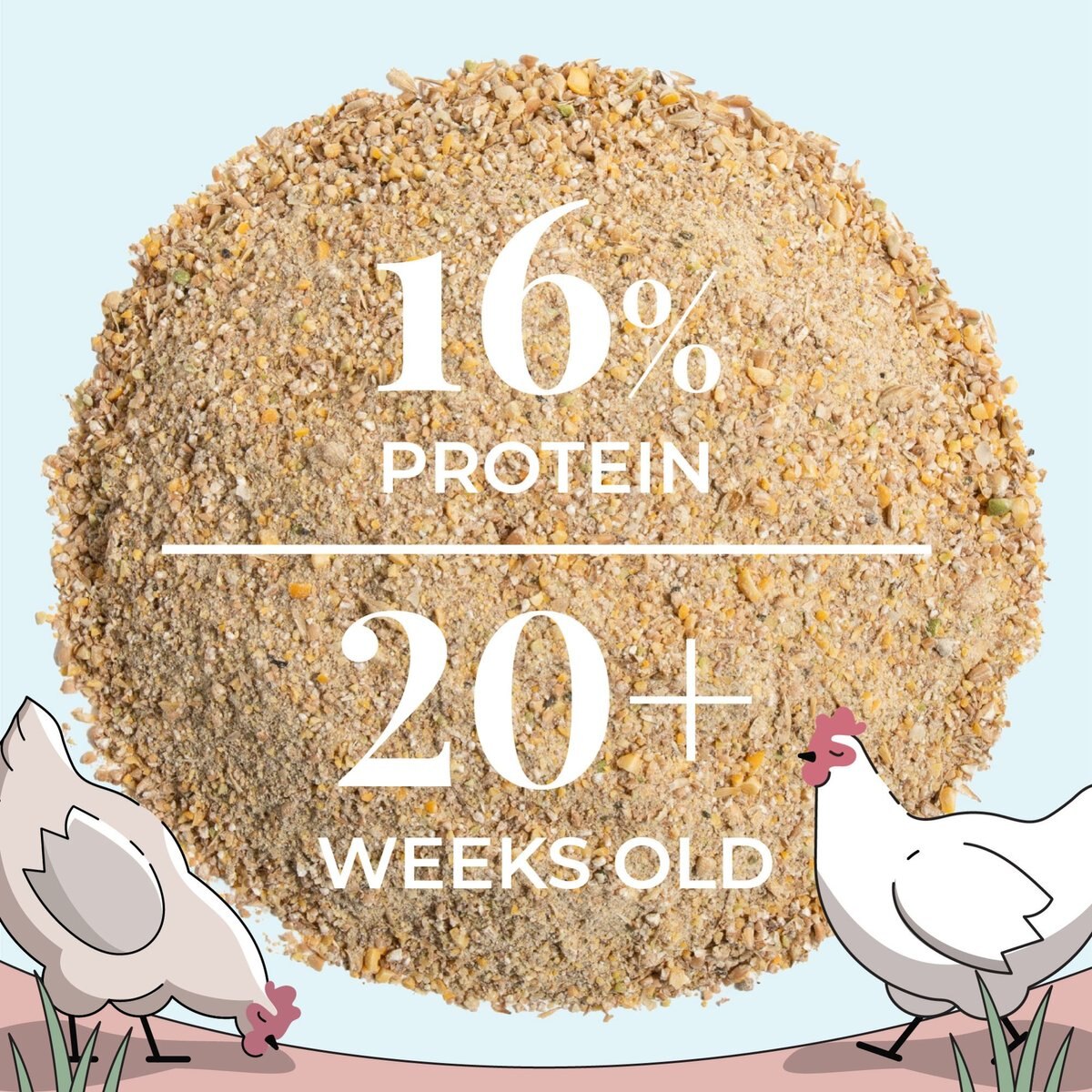 Mile Four 16% Organic Mash Layer Chicken and Duck Feed