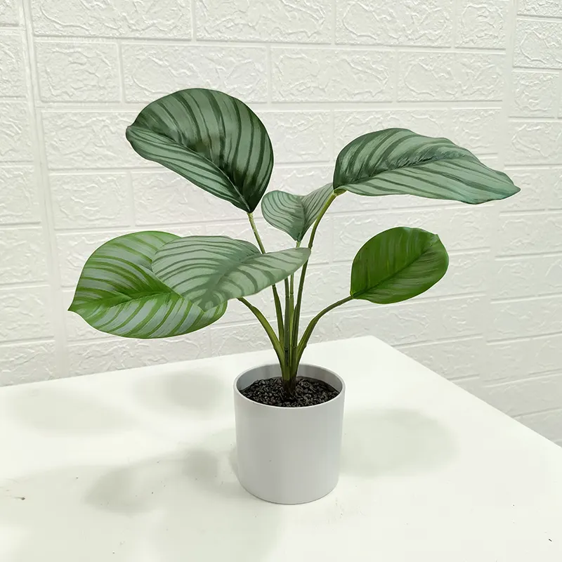 Garden supplies and factory top seller artificial green apple leaves bonsai calathea orbifolia potted plants for shop hotel