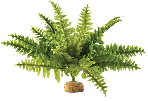 Exo Terra Boston Fern Rainforest Reptile Terrarium Plant