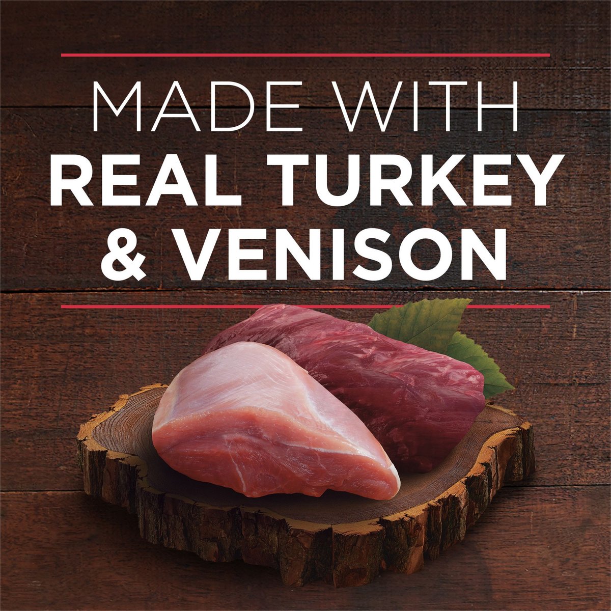 Purina ONE SmartBlend True Instinct Tender Cuts in Gravy with Real Turkey and Venison Canned Dog Food