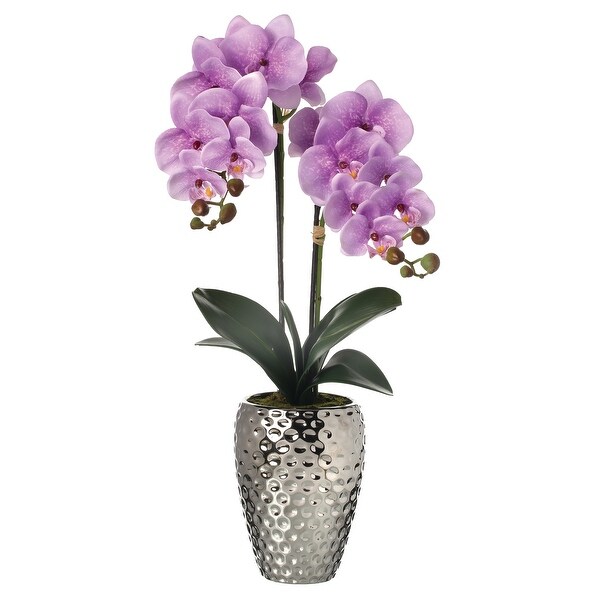 Phalaenopsis Orchid In Hammer Silver Pot 24