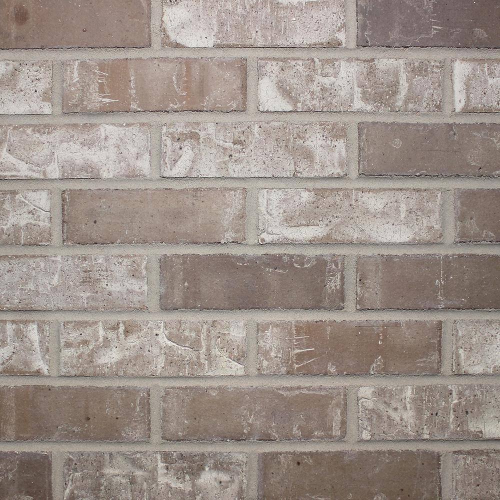 Old Mill Brick Little Cottonwood Thin Brick Singles - Flats (Box of 50) - 7.625 in x 2.25 in (7.3 sq. ft) TB-270010CS