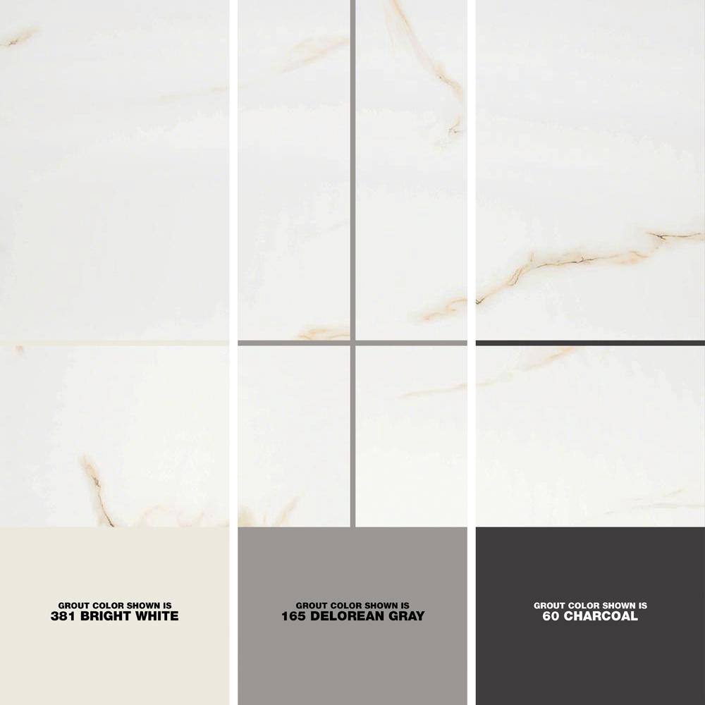 MSI Aria Bianco Polished Porcelain Floor and Wall Tile NARIBIA2424P