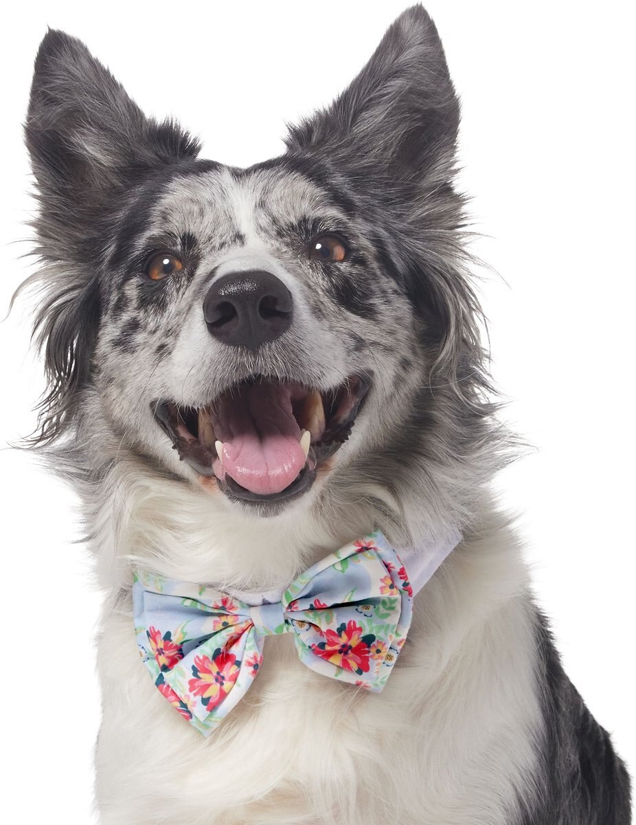 Frisco Floral Dog and Cat Bow Tie