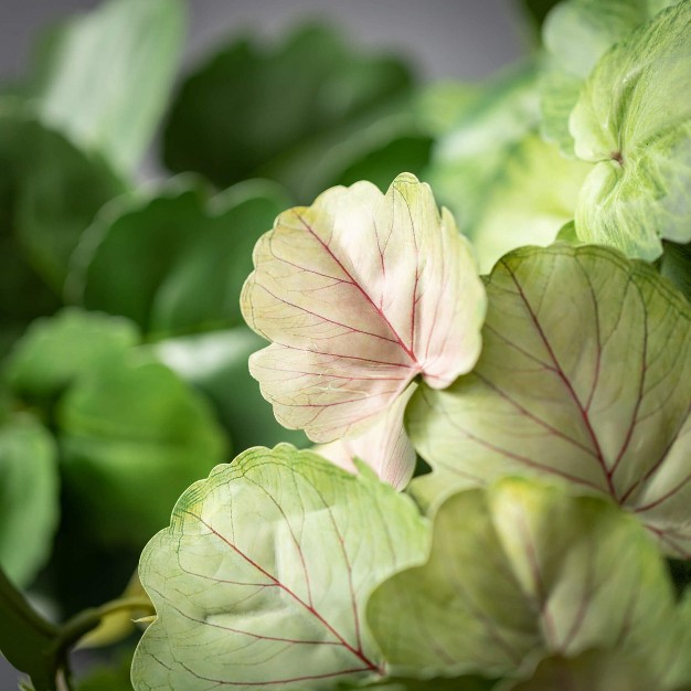 Artificial Begonia Leaf Bush Set Of 3