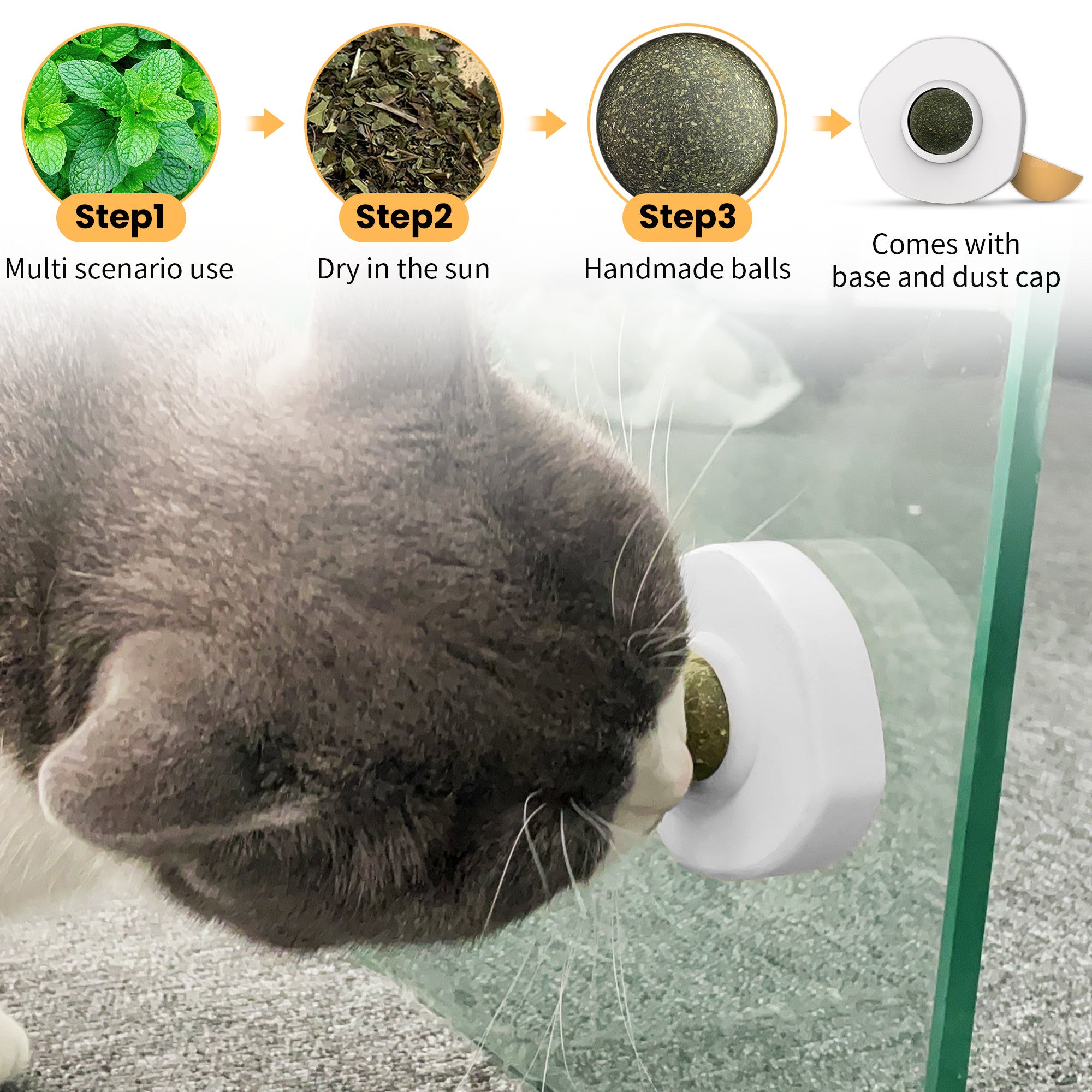 4 Set Ptlom Catnip Wall Ball， Detachable Silvervine Catnip Lollipop， Edible Kitty Toys for Cats Lick， Safe Healthy Kitten Chew Toys， Teeth Cleaning Dental Cat Ball Toy for Indoor