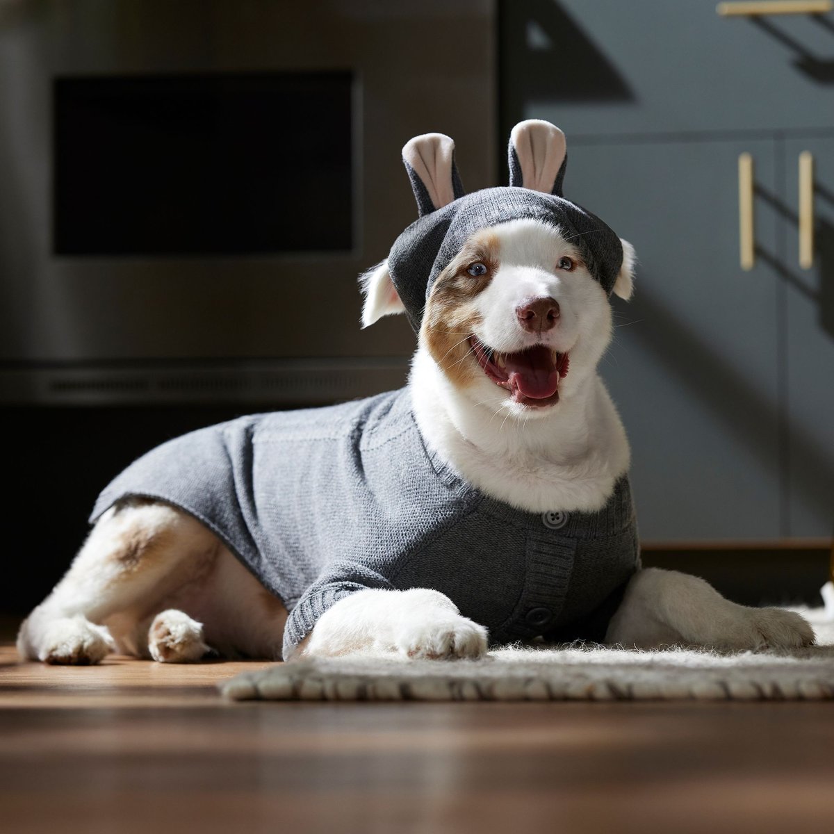 Frisco Bunny Hooded Dog and Cat Sweater