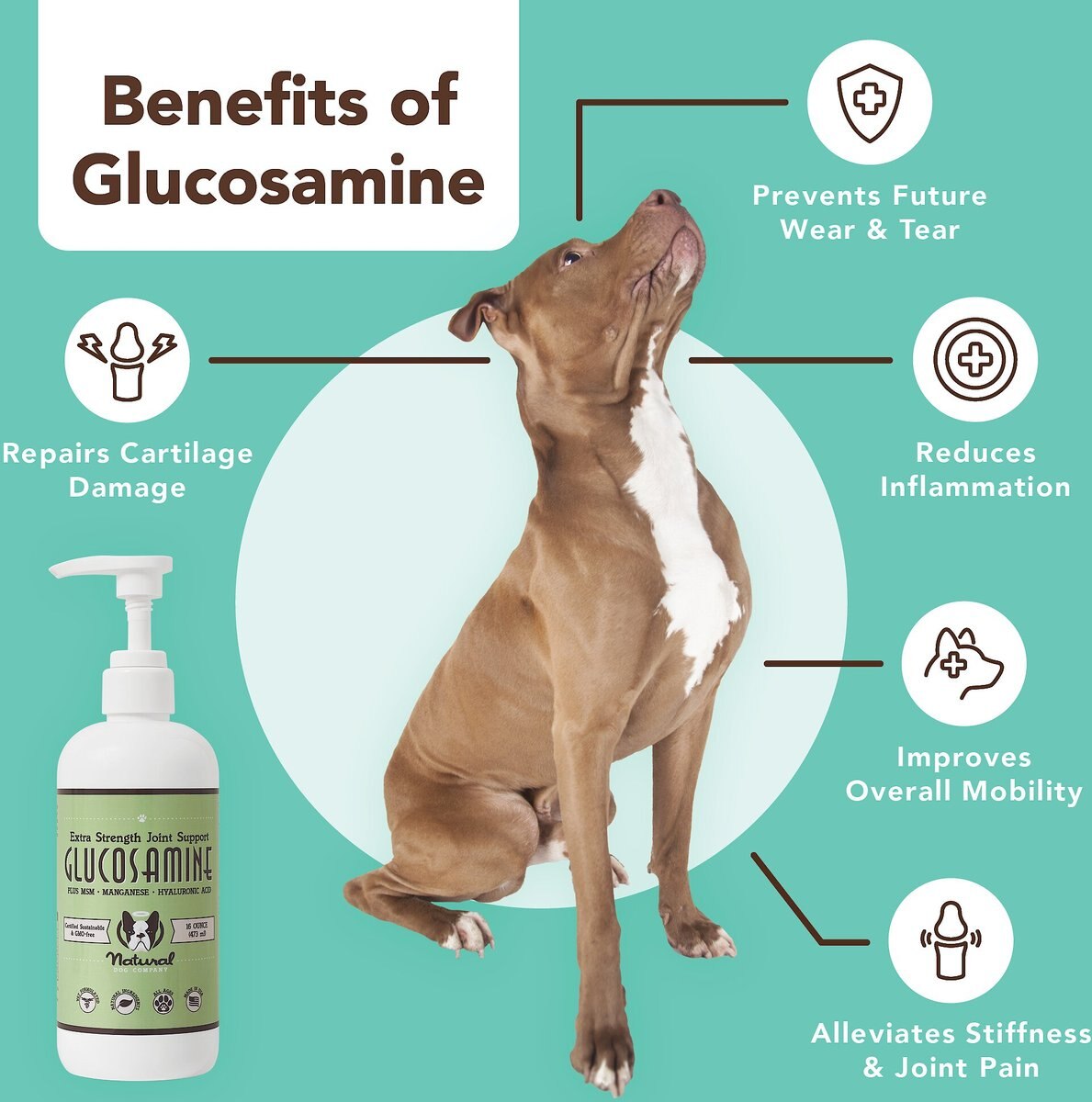 Natural Dog Company Liquid Glucosamine Hip and Joint Oil， 16-oz bottle