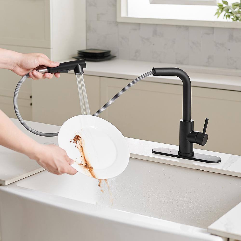 BWE 2 Sprayer Single Hole Single-Handle Pull Out Kitchen Faucet in Matte Black A-94020-Black