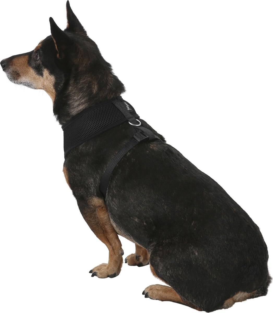 Four Paws Walk-About Comfort Control Dog Harness