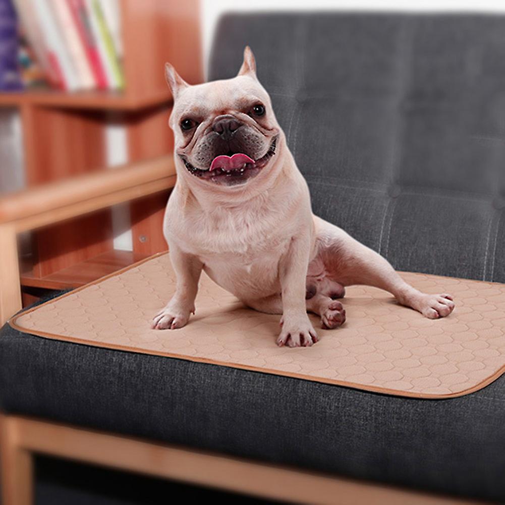 Pet Dog Cat Washable Pee Pad Reusable Potty Urine Training Pads Diapers Bed Sofa Cover(Beige L)