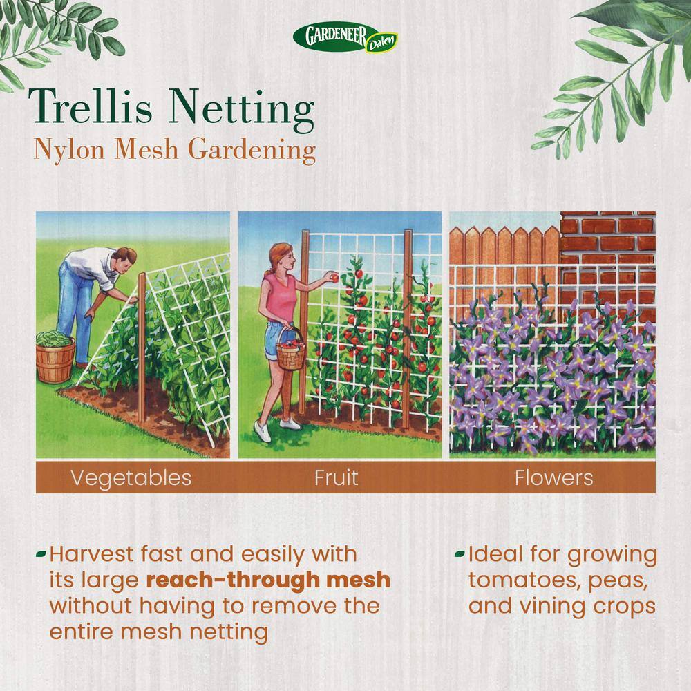 5 ft. x 30 ft. Dalen Products Nylon Trellis Netting TP-30C