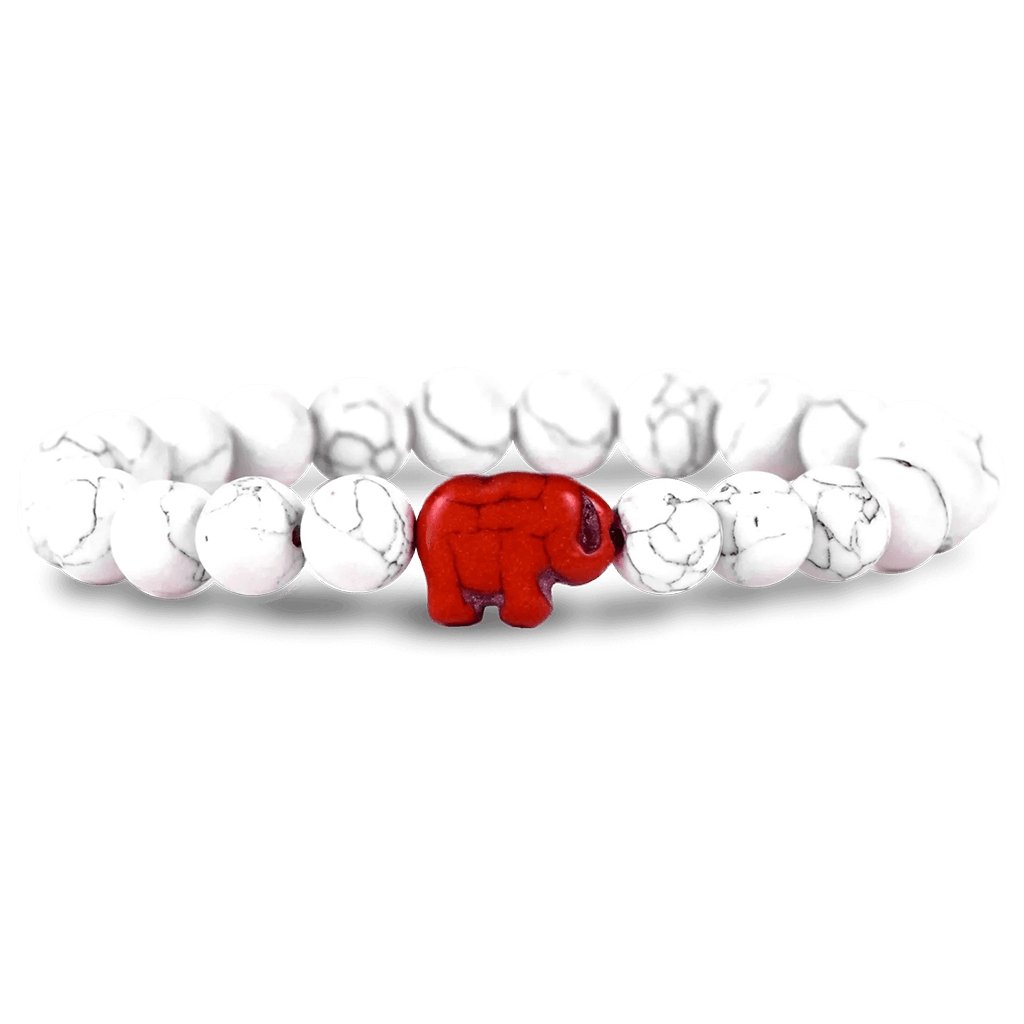 Fahlo  The Expedition Bracelet in White Howlite - Ste Edition-Tracking Bracelet