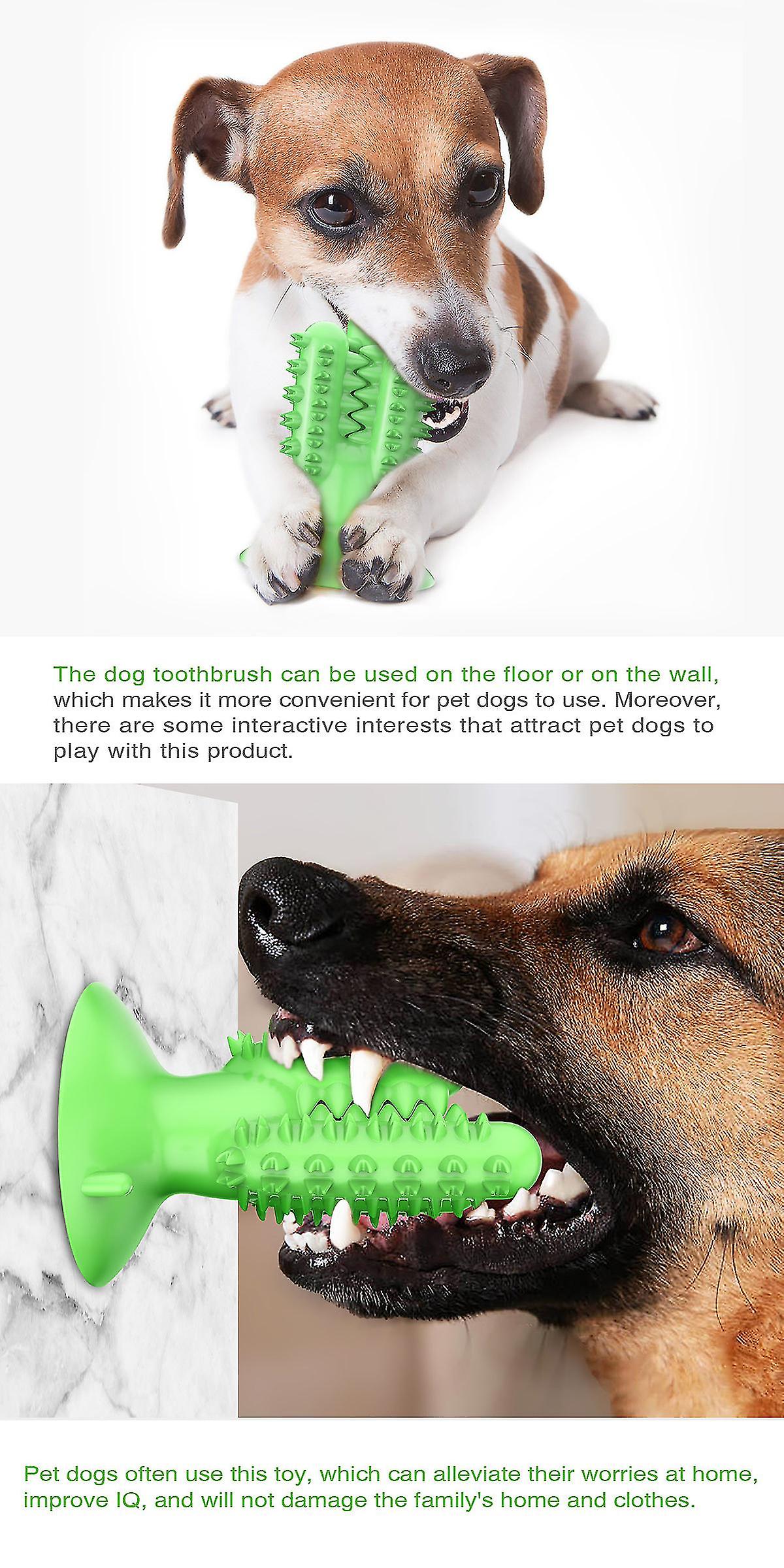 Dog Toothbrush Molar Stick Leaking Food Bite Resistant