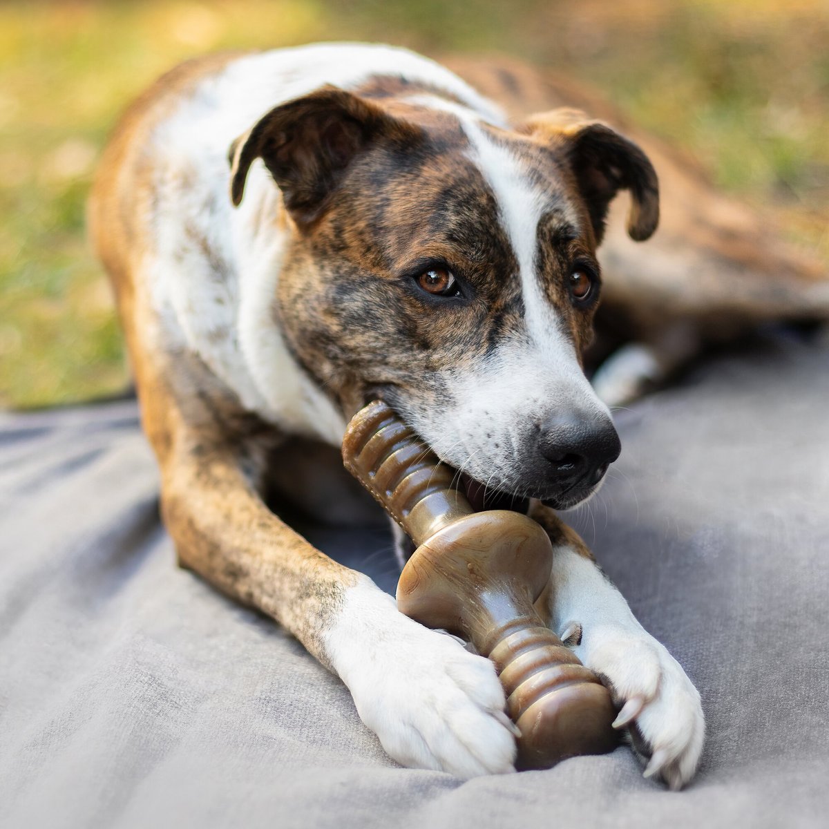 Benebone Bacon Flavor Zaggler Tough Dog Chew Toy