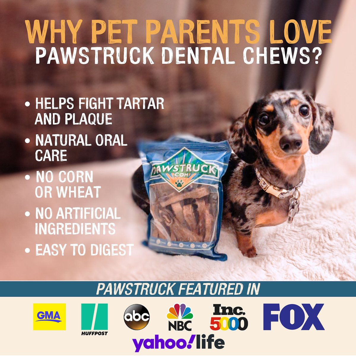 Pawstruck Dental Chew Brush Small Dogs Treats