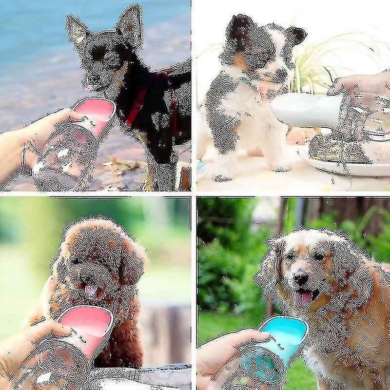 Portable Dog Water Bottle Bowl - Leak Proof Portable Puppy Water Dispenser With Drinking Feeder - Ae