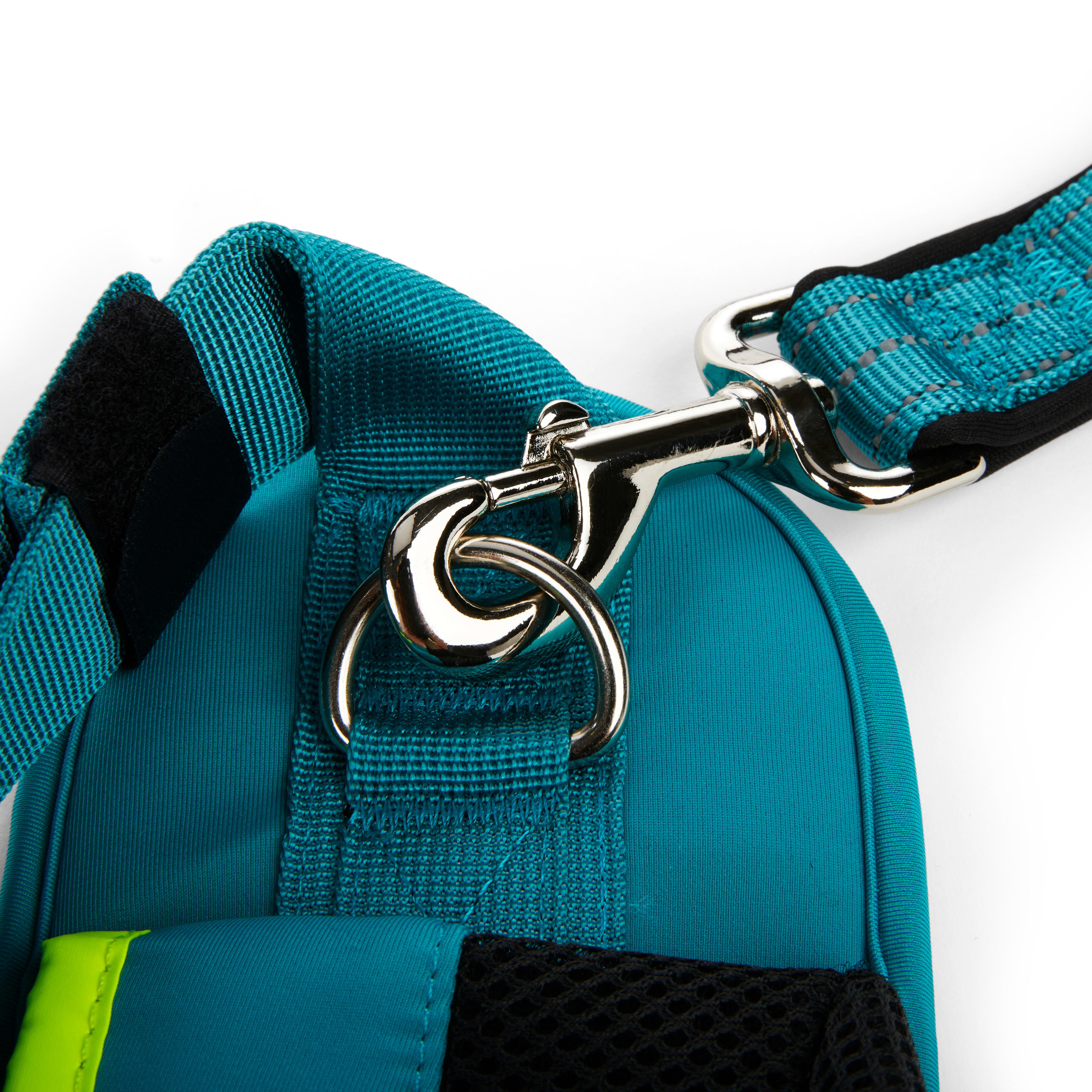 EveryYay Settin the Pace Teal Running Belt  Leash Set for Dogs