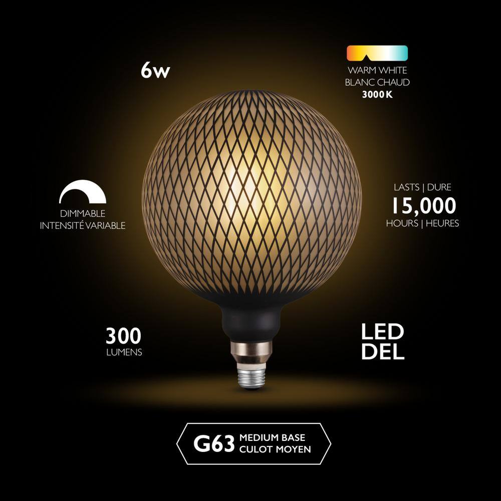 Globe Electric Moderna 40-Watt Equivalent E26 Base G200 Shape Luxury Oversized Frosted LED Filament Light Bulb Black Diamond Design 35677