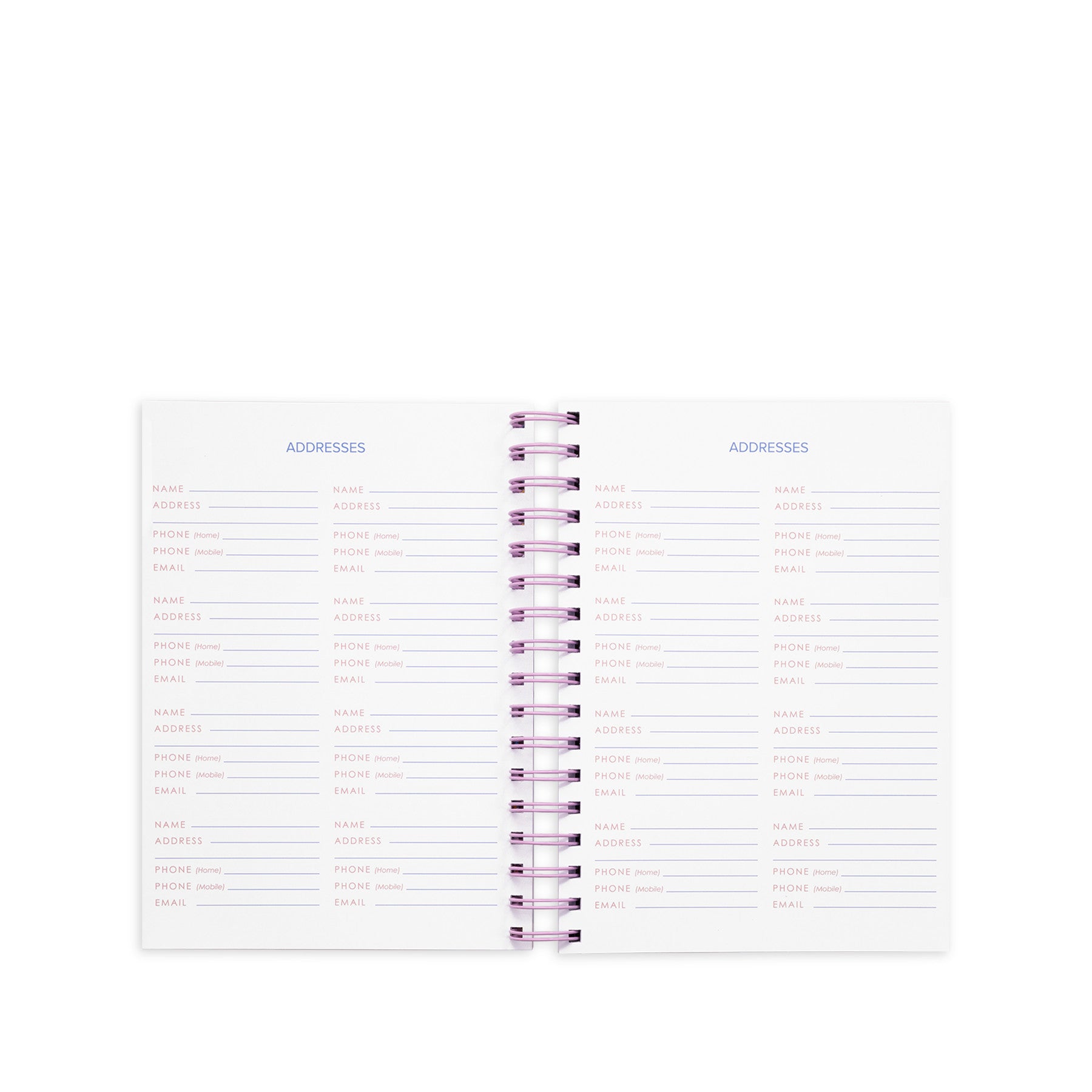 17 Month Large Planner