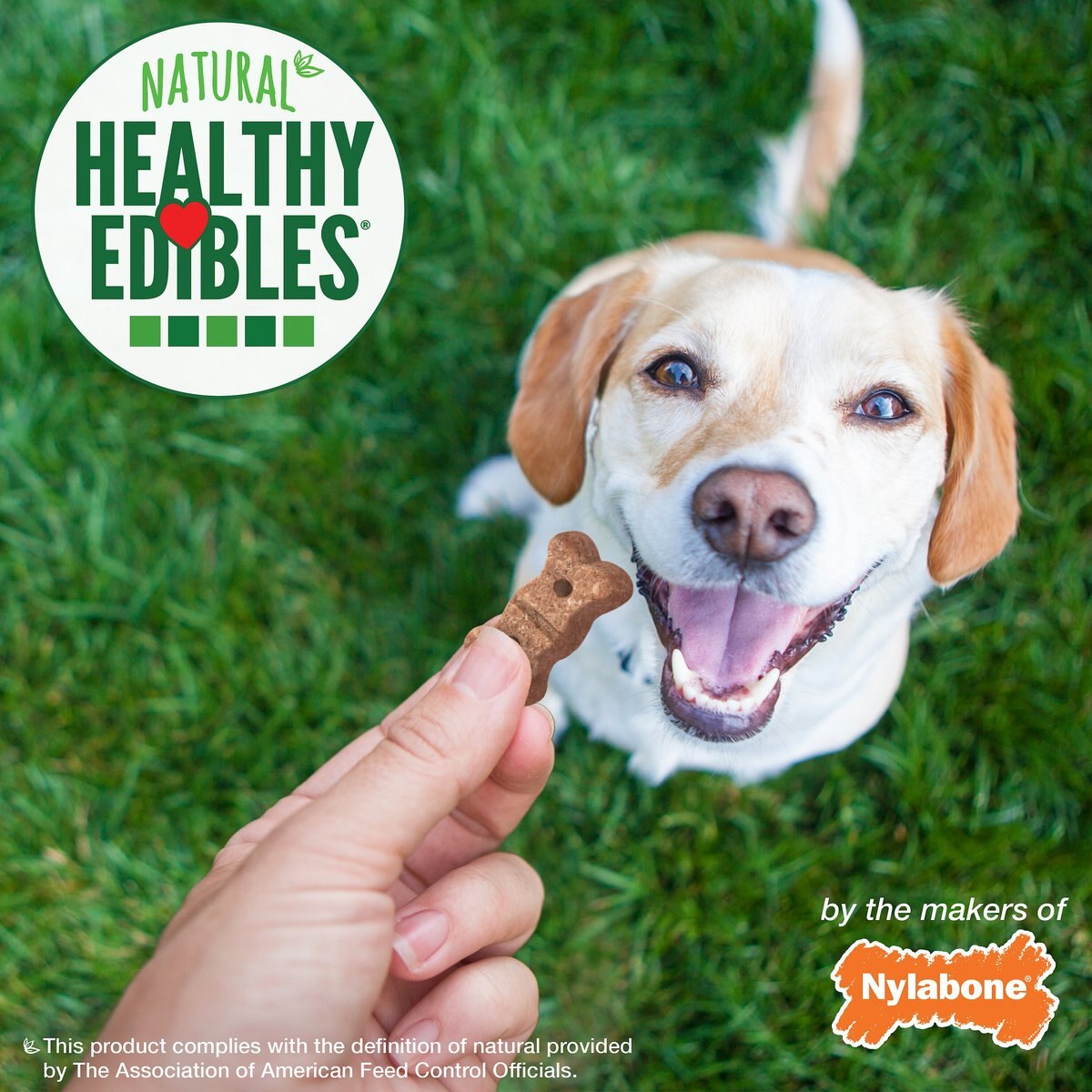 Nylabone Natural Healthy Edibles Grain-Free Biscuits Salmon Recipe Grain-Free Dog Treats