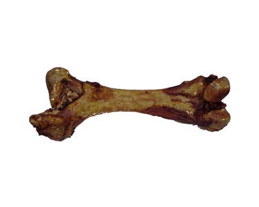 Butchers Block Jum-Bone Giant Beef Femur Bone for Medium to Large Dogs