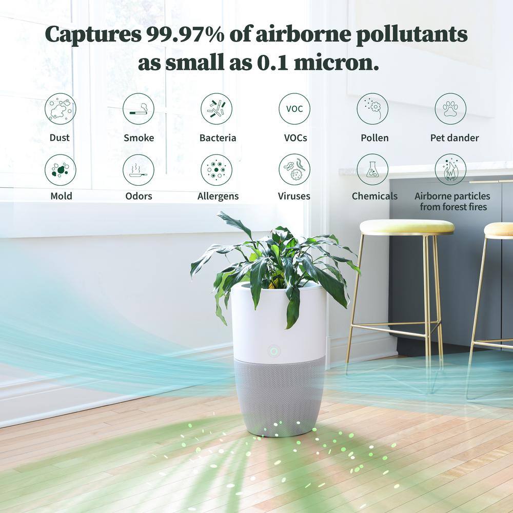 DUPRAY Bloom HEPA-13 Air Purifier with Planter AutoDetect to Remove Dust Smoke Bacteria Allergens and Odors - 1517 sq. ft. AIR030W