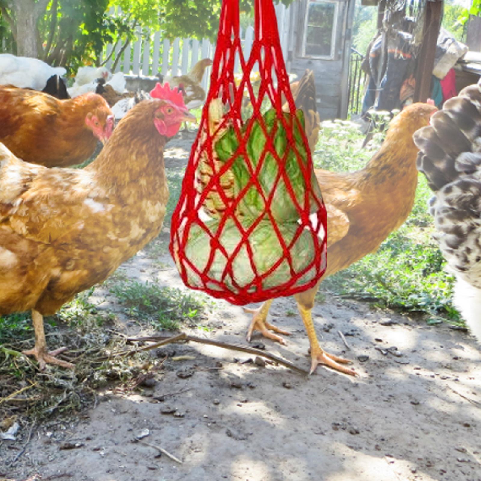 Chicken Vegetable String Bag Hanging Feeder for Large Birds Roosters Poultry red