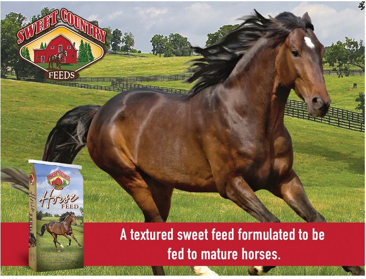 Sweet Country Feeds 12% Pleasure Horse Sweet Textured Feed， 50-lb bag